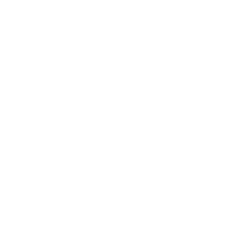 RISE Recovery